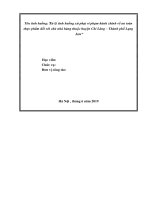 tieu luan nguyen thi ngoc bich