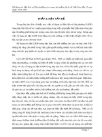 SKKN: Sử dụng tài liệu lịch sử địa phương vào trong bài giảng Lịch sử Việt Nam lớp 12 giai đoạn 1954 -1965