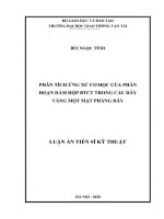 Phân tích ứng xử cơ học của phân đoạn dầm hộp bê tông cốt thép trong cầu dây văng một mặt phẳng dây 