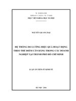 (Luận án tiến sĩ) Hệ thống đo lường hiệu quả hoạt động theo thẻ điểm cân bằng trong các doanh nghiệp tại thành phố Hồ Chí Minh