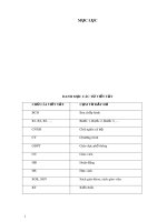 SKKN: Dạy đọc – hiểu văn bản văn học theo yêu cầu phát triển phẩm chất và năng lực người học qua tác phẩm “Chiều tối” của Hồ Chí Minh