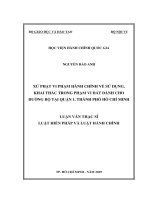 Xử phạt vi phạm hành chính về sử dụng, khai thác trong phạm vi đất dành cho đường bộ tại quận 1, thành phố hồ chí minh 
