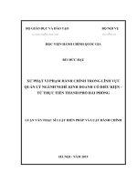 Xử phạt vi phạm hành chính trong lĩnh vực quản lý ngành nghề kinh doanh có điều kiện   từ thực tiễn thành phố hải phòng 