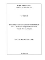 Thực trạng hành vi gây hấn của trẻ mẫu giáo lớn trong trường mầm non ở thành phố nam định 