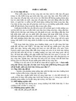 SKKN: Phát triển năng lực tư duy sáng tạo cho học sinh Trung học phổ thông thông qua một số kỹ thuật giải toán hình học không gian lớp 11