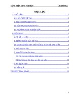 SKKN: Kinh nghiệm dạy một số bài toán về xác suất nhằm tạo hứng thú học tập và phát triển tư duy cho học sinh trường THPT Quảng Xương 4