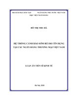 HỆ THỐNG CẢNH BÁO SỚM RỦI RO TÍN DỤNG TẠI CÁC NGÂN HÀNG THƢƠNG MẠI VIỆT NAM