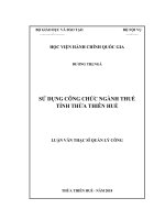 SỬ DỤNG CÔNG CHỨC NGÀNH THUẾ TỈNH THỪA THIÊN HUẾ 