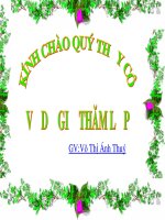 Bài giảng Lịch sử lớp 10 - Bài 22: Tình hình kinh tế ở các thế kỷ XVI-XVII