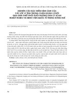 Nghiên cứu đặc điểm hình ảnh của cắt lớp vi tính trong chẩn đoán u phổi qua sinh thiết phổi dưới hướng dẫn CT Scan Robot Robio tại Bệnh viện Quốc tế Trung ương Huế