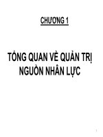 Bài giảng Quản trị nguồn nhân lực: Chương 1 - Cao đẳng Đại Việt Sài Gòn