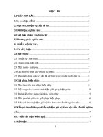 Một số biện pháp phát triển ngôn ngữ cho trẻ mầm non 5 - 6 tuổi thông qua hoạt động dạy trẻ kể chuyện sáng tạo tại trường mầm non Hoa Cúc