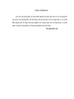 Phát triển dịch vụ thẻ tại ngân hàng đầu tư và phát triển việt nam   chi nhánh bắc hà nội 