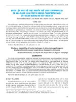 Phân lập một số thực khuẩn thể (bacteriophages) có khả năng loại trừ vi khuẩn Escherichia Coli gây bệnh đường hô hấp trên gà