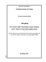 Bài giảng  TỔ CHỨC MÔI TRƯỜNG HOẠT ĐỘNG CHO TRẺ Ở TRƯỜNG MẦM NON  (Tài liệu dùng cho học viên bậc đại học hệ chính qui tập trung và hệ tại chức liên thông từ trung cấp và cao đẳng ngành SPMN)