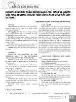 Nghiên cứu giải phẫu động mạch chủ ngực ở người Việt Nam trưởng thành trên hình ảnh chụp cắt lớp vi tính