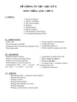 Đề cương học kì 2 môn Tiếng Anh lớp 11