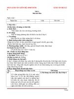 Giáo án địa lí 6 phát triển năng lực 5 hoạt động mới nhất 