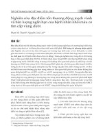 Nghiên cứu đặc điểm tổn thương động mạch vành và tiên lượng ngắn hạn của bệnh nhân nhồi máu cơ tim cấp vùng dưới