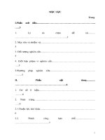 Một số biện pháp chỉ đạo nâng cao chất lượng phát triển ngôn ngữ cho trẻ 5- 6 tuổi ở trường Mầm non Krông ANa