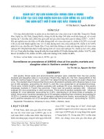 Giám sát sự lưu hành của virus cúm A/H5NX ở gia cầm tại các chợ buôn bán gia cầm sống và các điểm thu gom giết mổ ở khu vực Bắc Trung Bộ