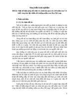 Một số biện pháp tổ chức trò chơi dân gian cho trẻ mầm non 5-6 tuổi vùng dân tộc thiểu số trường mầm non Hoa Pơ Lang