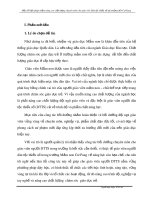Một số biện pháp nhằm nâng cao chất lượng chuyên môn cho giáo viên Dân tộc thiểu số tại trường MN Cư Pang