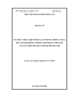 Tổ chức thực hiện pháp luật trong phòng ngừa đấu tranh phòng chống tội phạm cướp giật trên địa bàn thành phố hà nội 