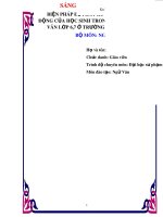 Biện pháp để phát huy tính tích cực, chủ động của học sinh trong học tập môn Ngữ văn lớp 6,7 ở trường THCS Buôn Trấp