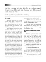 Nghiên cứu vai trò của siêu âm trong lòng mạch (ivus) trong đánh giá tổn thương hẹp động mạch vành mức độ vừa