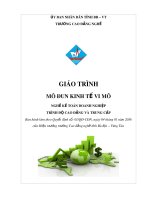 Giáo trình Kinh tế vĩ mô - Nghề: Kế toán doanh nghiệp - CĐ Kỹ Thuật Công Nghệ Bà Rịa-Vũng Tàu