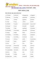 de-cuong-on-thi-hoc-ki-1-lop-5-mon-tieng-anh-nam-2019-2020 - Copy (3)