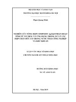Nghiên cứu tổng hợp compozit ag zno than hoạt tính từ vỏ trấu và ứng dụng trong xử lý các hợp chất hữu cơ trong nước thải công nghiệp và khử khuẩn