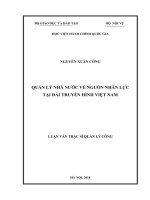 QLNN về nguồn nhân lực tại đài truyền hình việt nam 