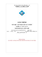 Giáo trình Kỹ thuật cắt may cơ bản - Nghề: May thời trang (Trung cấp) - CĐ Kỹ Thuật Công Nghệ Bà Rịa-Vũng Tàu