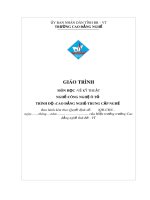 Giáo trình Vẽ kỹ thuật - Nghề: Công nghệ ô tô - CĐ Kỹ Thuật Công Nghệ Bà Rịa-Vũng Tàu