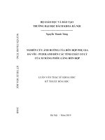 Nghiên cứu ảnh hưởng của hỗn hợp phụ gia đá vôi   puzoland đến các tính chất cơ lý của xi măng poóc lăng hỗn hợp