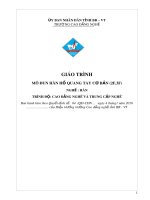 Giáo trình Hàn hồ quang tay cơ bản (2F,3F) - Nghề: Hàn - CĐ Kỹ Thuật Công Nghệ Bà Rịa-Vũng Tàu