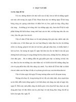 Một số biện pháp nâng cao hiệu quả tổ chức hoạt động tập thể thông qua các lễ hội trong trường mầm non 