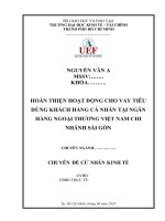 Luận văn đề tài hoàn thiện hoạt động cho vay tiêu dùng tại ngân hàng ngoại thương việt nam chi nhánh sài gòn 