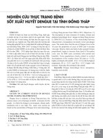 Nghiên cứu thực trạng bệnh sốt xuất huyết dengue tại tỉnh Đồng Tháp