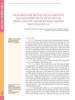 Chẩn đoán đột biến di truyền đơn gen giai đoạn phôi tiền làm tổ (PGT-M) trong loại trừ gen bệnh thalassemia: Báo cáo loạt ca