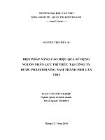 (Luận văn thạc sĩ) Biện pháp nâng cao hiệu quả sử dụng nguồn nhân lực trí thức tại Công ty Dược phẩm Phương Nam thành phố Cần Thơ