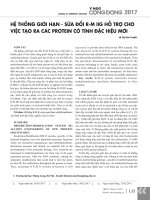Hệ thống giới hạn - sửa đổi R-M IIG hỗ trợ cho việc tạo ra các protein có tính đặc hiệu mới