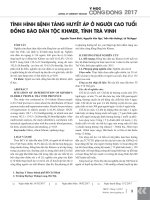 Tình hình bệnh tăng huyết áp ở người cao tuổi đồng bào dân tộc Khmer, tỉnh Trà Vinh