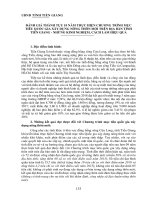 Đánh giá thành tựu 10 năm thực hiện chương trình mục tiêu quốc gia xây dựng nông thôn mới trên địa bàn tỉnh Tiền Giang - Những kinh nghiệm, cách làm hiệu quả