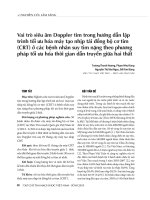 Nghiên cứu lâm sàng: Vai trò siêu âm Doppler tim trong hướng dẫn lập trình tối ưu hóa máy tạo nhịp tái đồng bộ cơ tim (crt) ở các bệnh nhân suy tim nặng theo phương pháp tối ưu