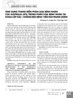 Ứng dụng thang điểm phân loại bệnh nhân của Australia (ATS) trong phân loại bệnh nhân tại khoa Cấp cứu – Chống độc Bệnh viện Nhi Trung ương