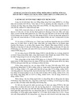 Đánh giá 10 năm xây dựng nông thôn mới và những tồn tại, thách thức trong xây dựng nông thôn mới của tỉnh Long An