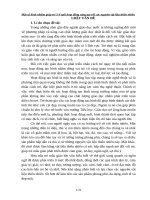 Một số biện pháp sáng tạo đồ dùng đồ chơi từ nguyên vật liệu thiên nhiên 